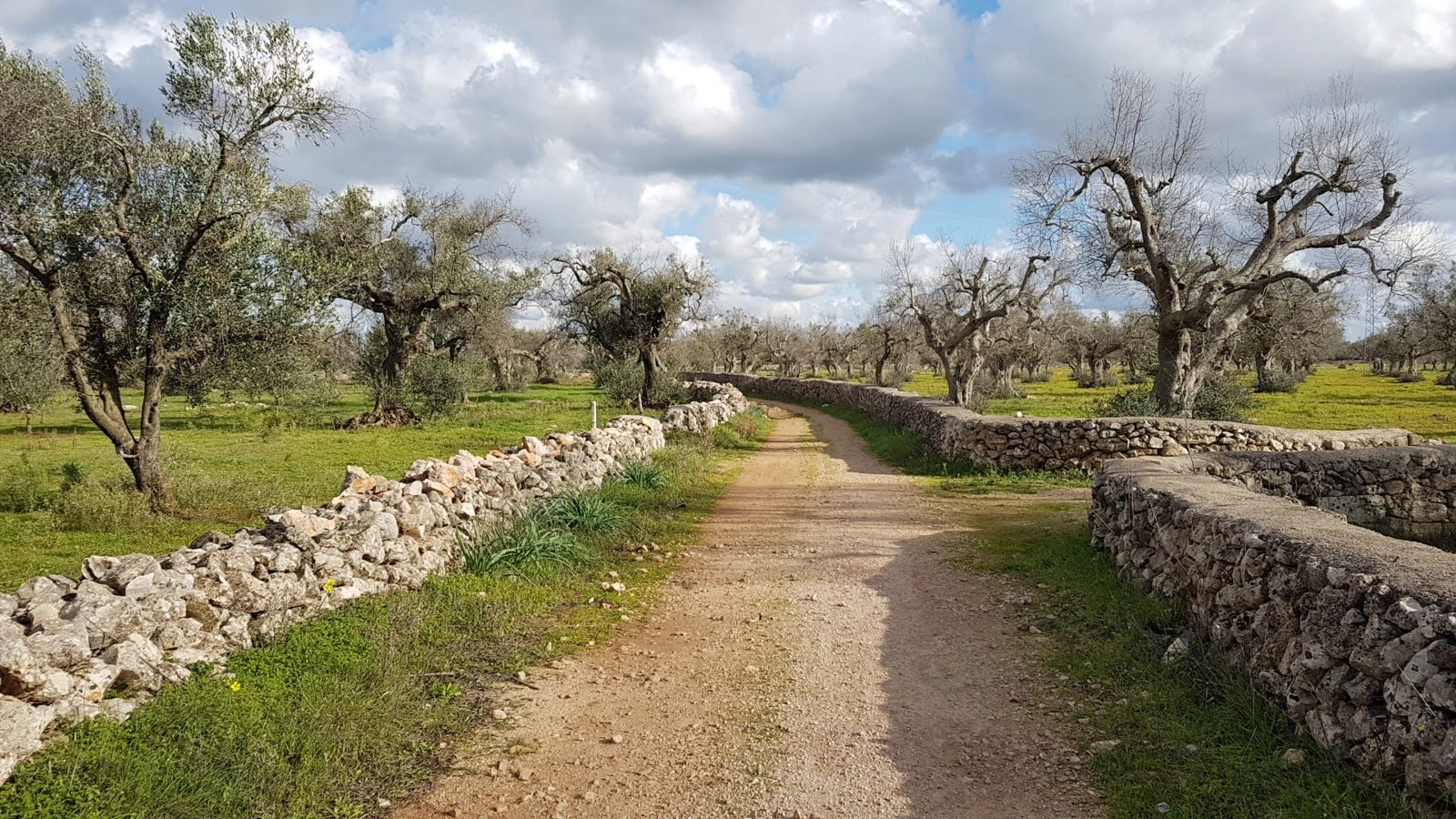 Historisches Anwesen der Familie Guarini im Salento